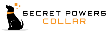 Secret Powers Collar