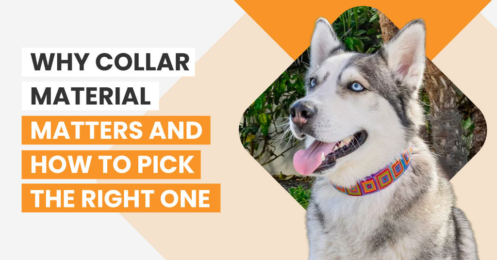 Why Collar Material Matters and How to Pick the Right One