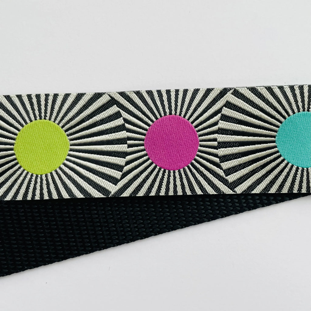 Hidden Prong Dog Training Collar Black with Sunburst Design