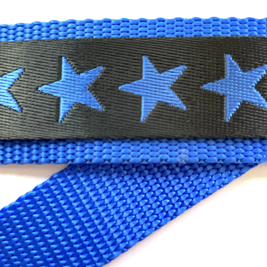 Hidden Prong Dog Training Collar Blue with Stars Design