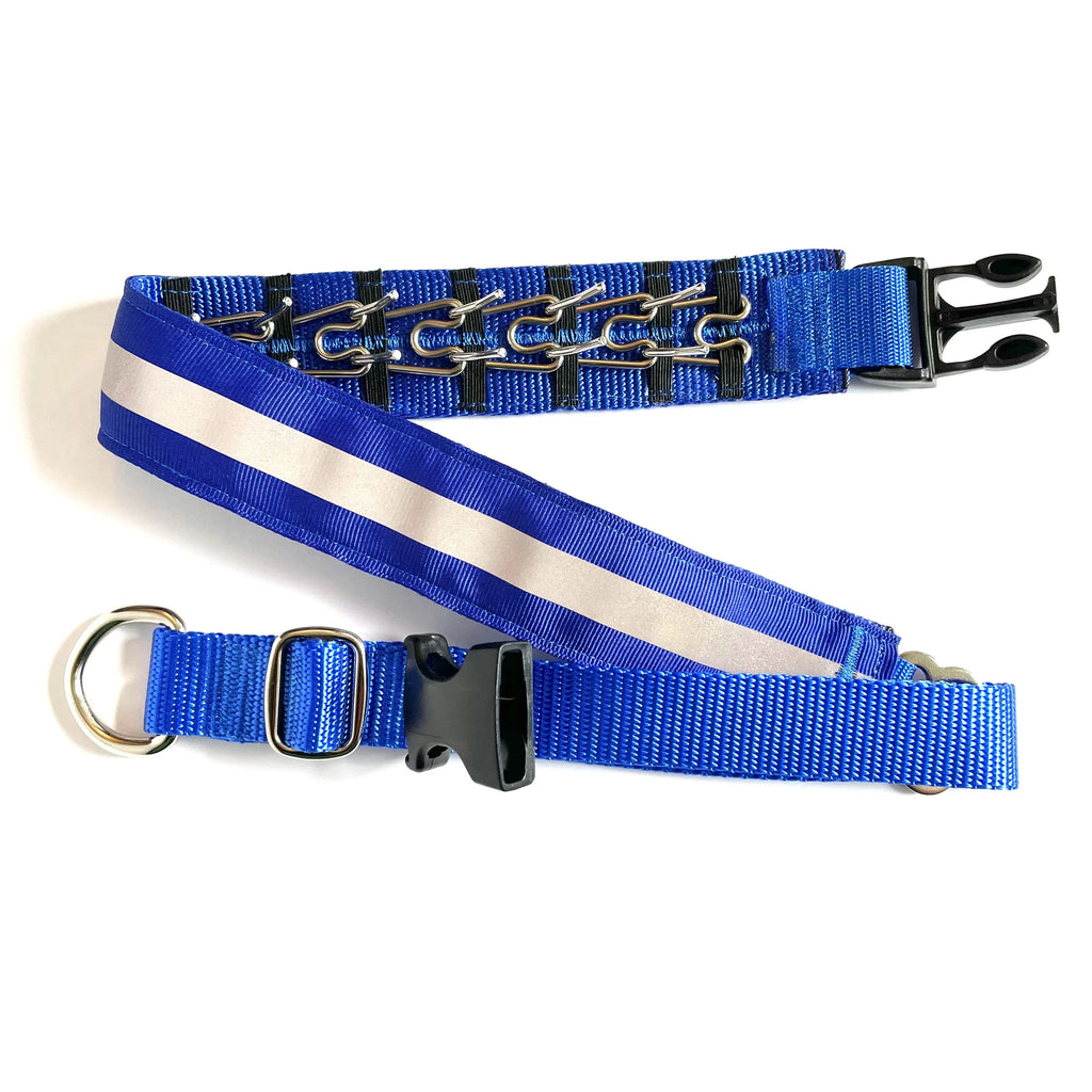 Hidden Prong Dog Training Collar Blue with Reflective Line Design