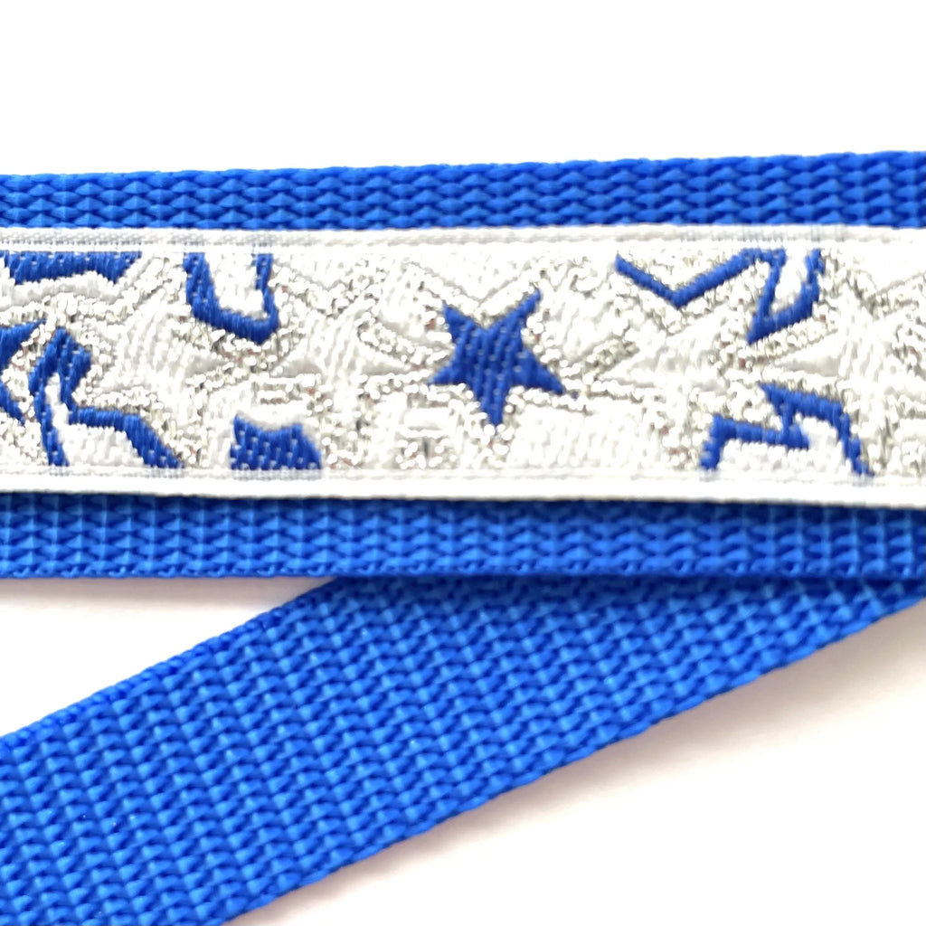 Hidden Prong Dog Training Collar Blue with Stars Design