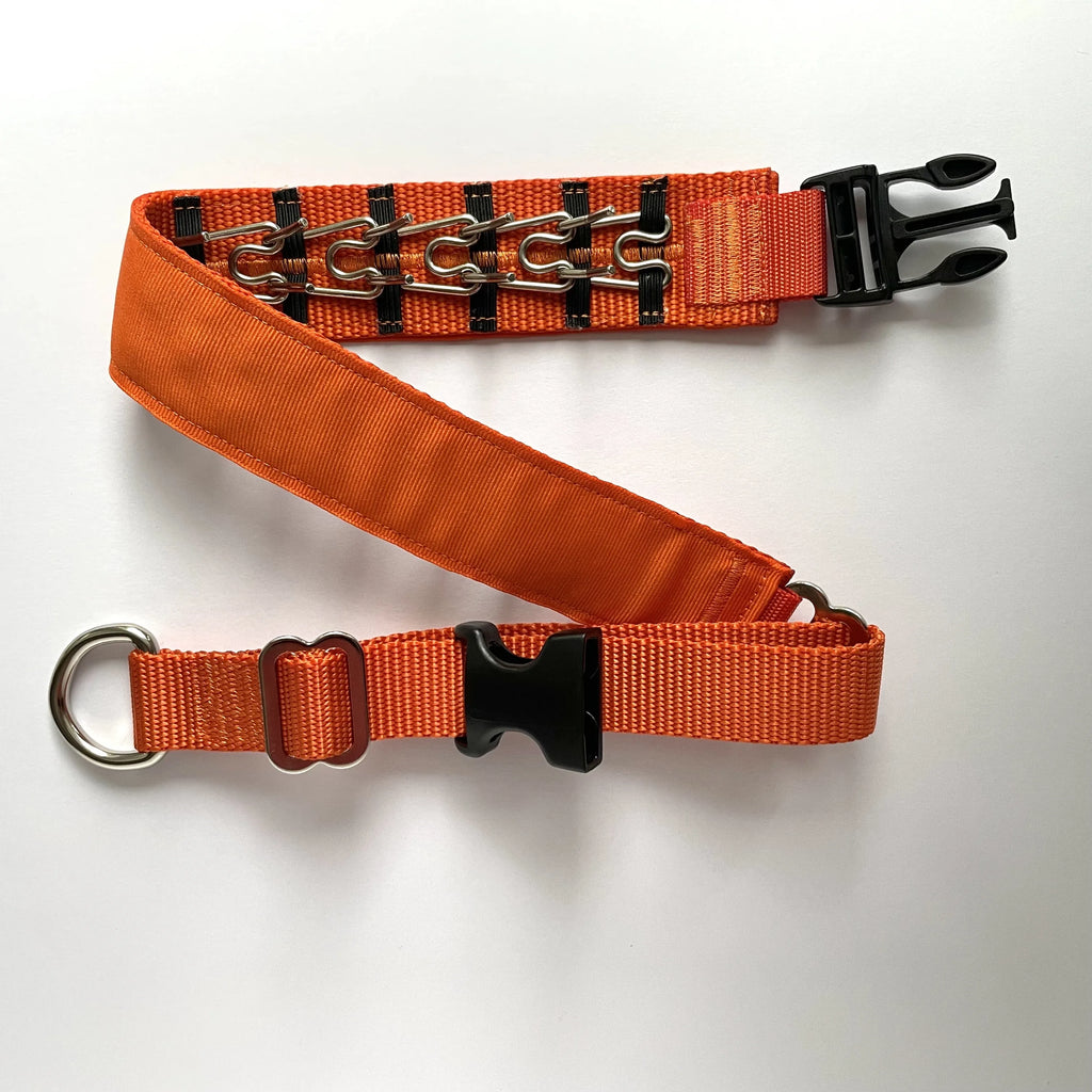 Hidden Prong Dog Training Collar Orange Solid Design