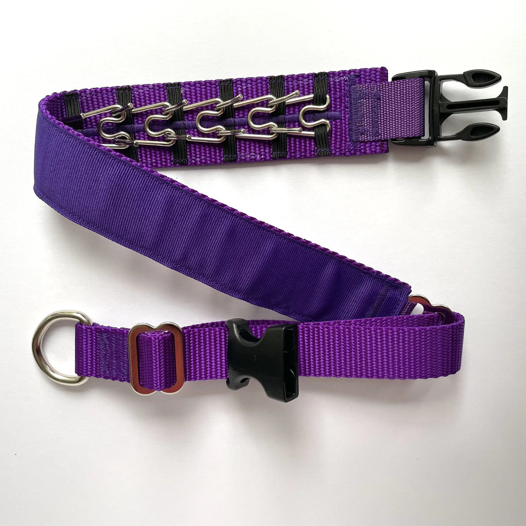 Hidden Prong Dog Training Collar Purple Solid Design