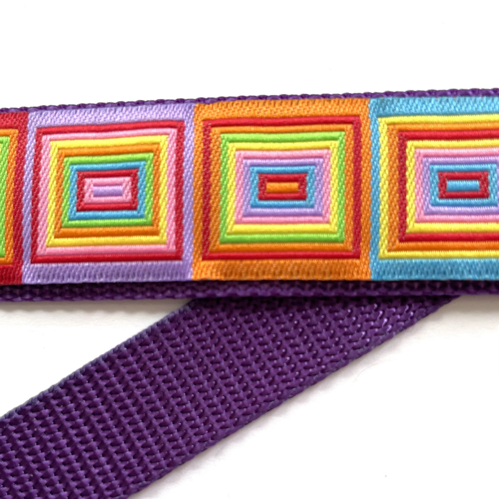 Hidden Prong Dog Training Collar Purple with Colorful Squares
