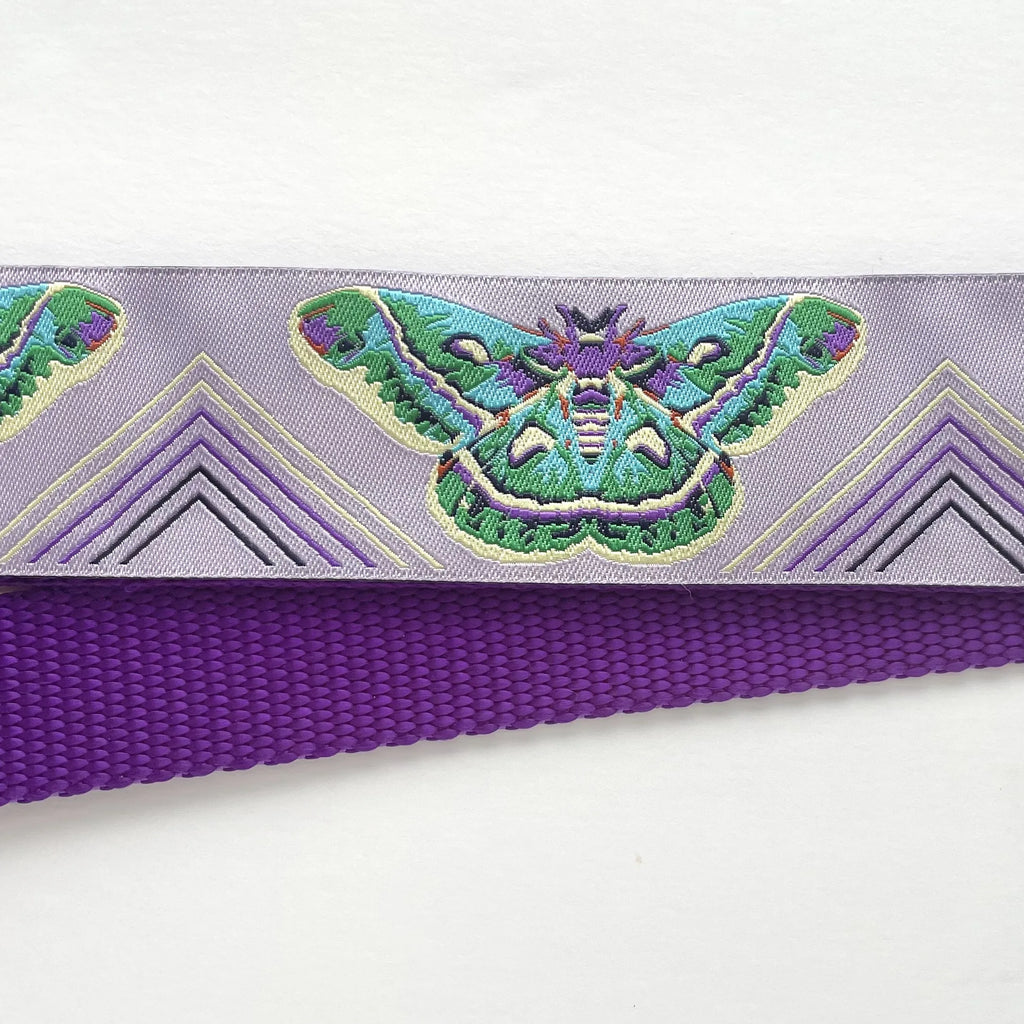 Hidden Prong Dog Training Collar Purple with Moths Design