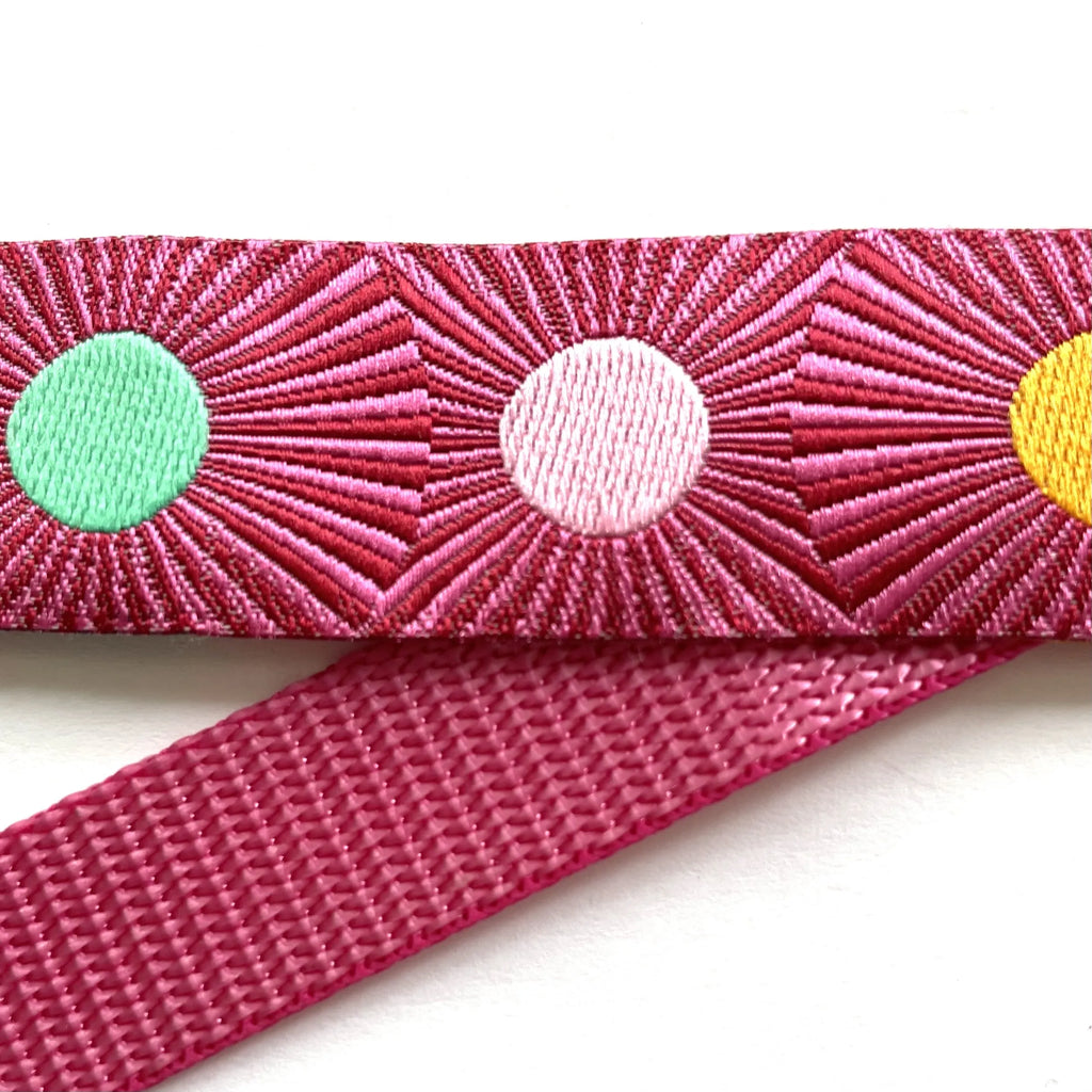 Hidden Prong Dog Training Collar Raspberry Sunburst Design
