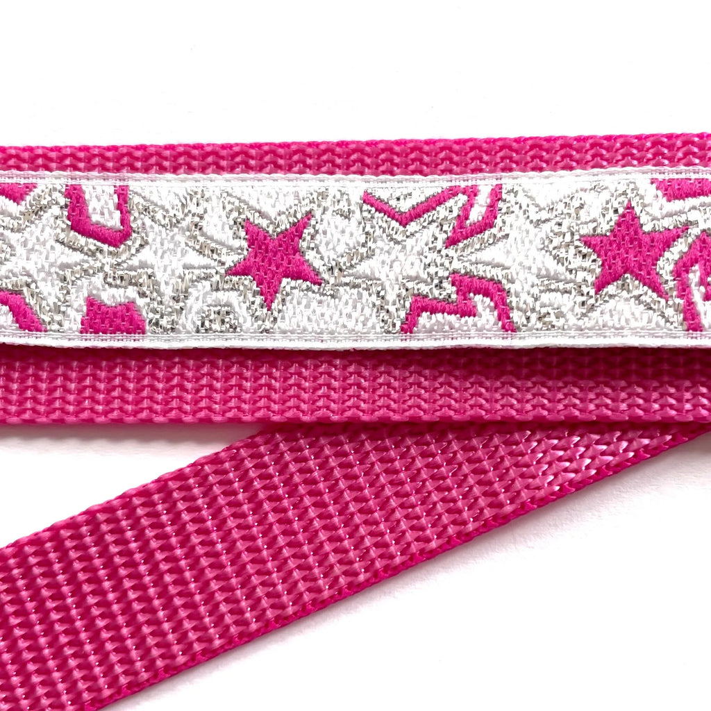 Hidden Prong Dog Training Collar Raspberry with Stars Design