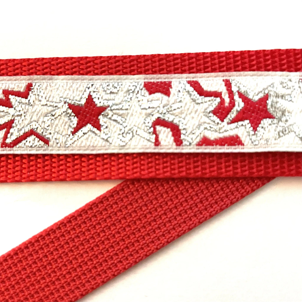 Hidden Prong Dog Training Collar Red with Stars Design