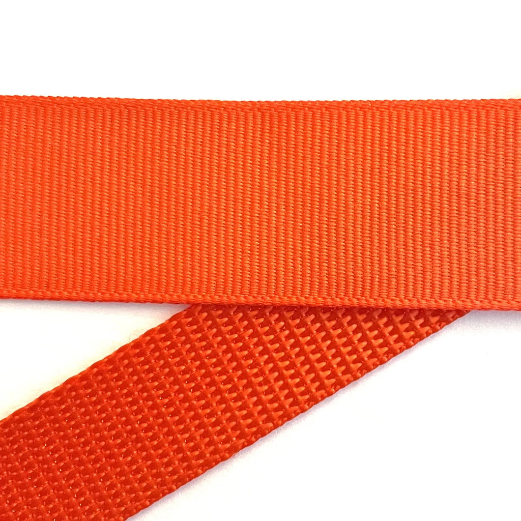 Hidden Prong Dog Training Collar Solid Orange Design