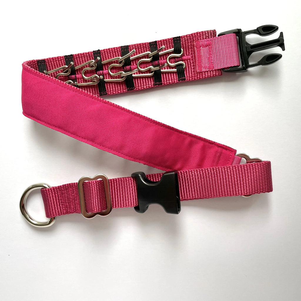 Hidden Prong Dog Training Collar Solid Raspberry Design