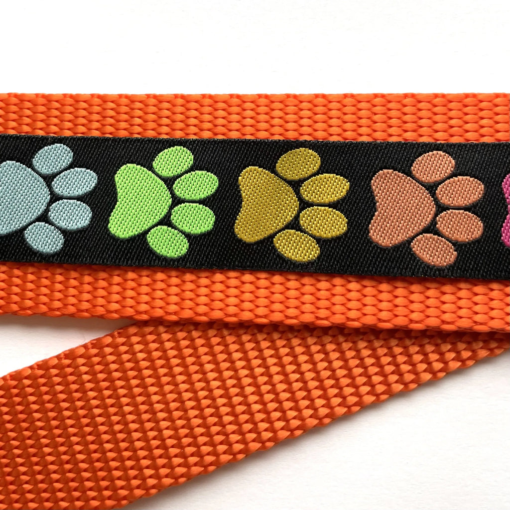 Hidden Prong Dog Training Collar with Orange Rainbow Paw Print Design