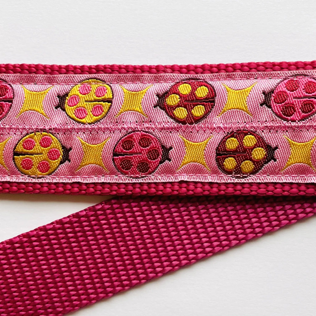 Hidden Prong Dog Training Collar Raspberry with Ladybugs Design