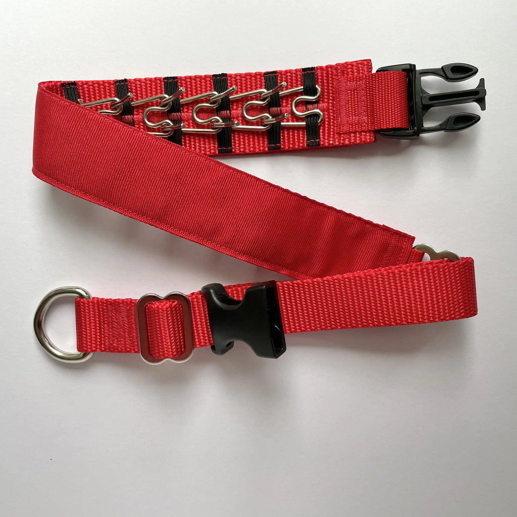 Hidden Prong Dog Training Collar with Red Solid Design