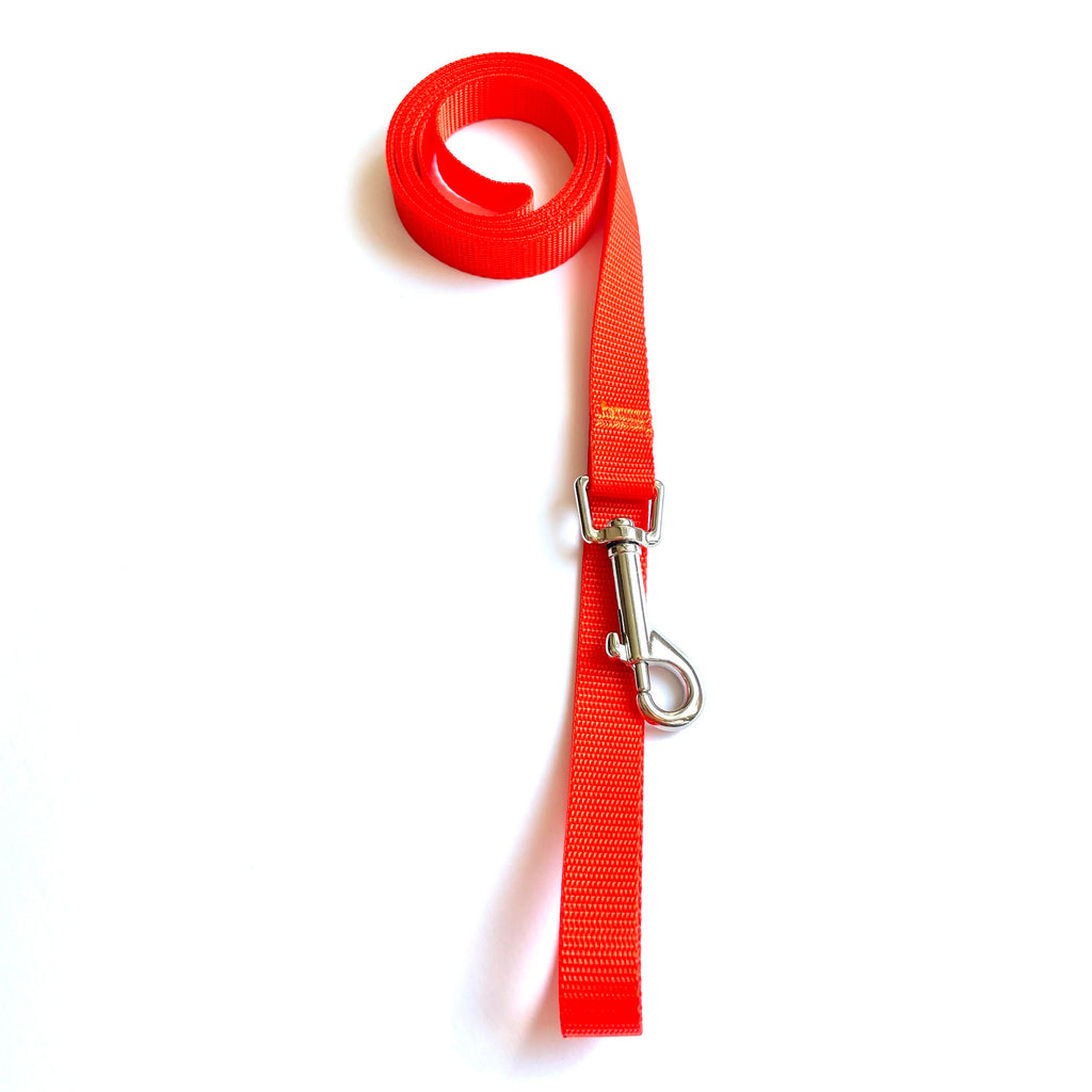 Orange dog leash with a metal clip on a white background